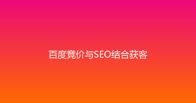 百度竞价与SEO结合获客 封面图