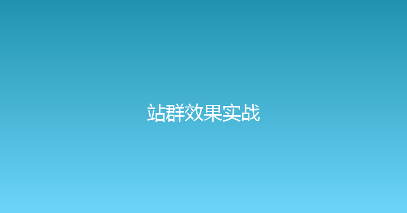 站群效果实战 封面图