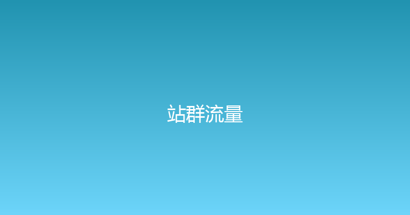 站群流量 封面图