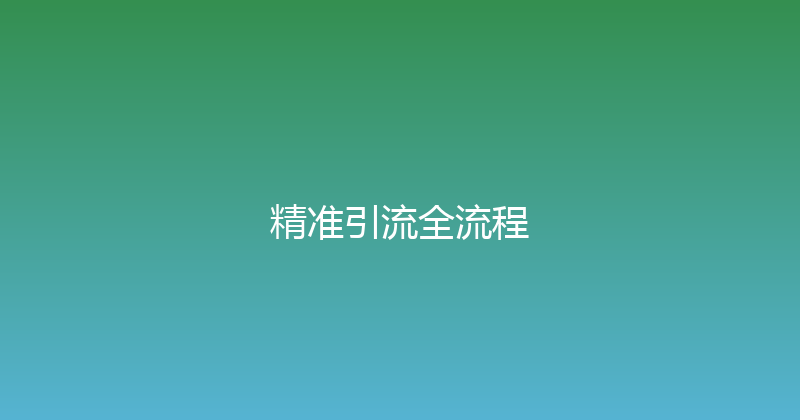 精准引流全流程 封面图