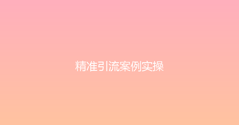 精准引流案例实操 封面图
