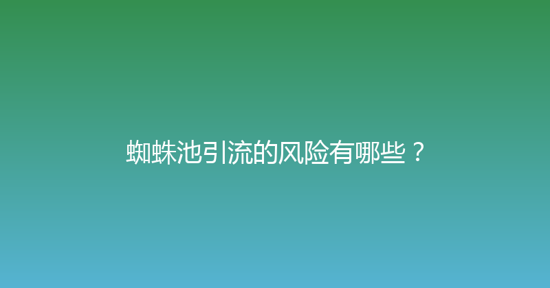 蜘蛛池引流的风险有哪些？ 封面图